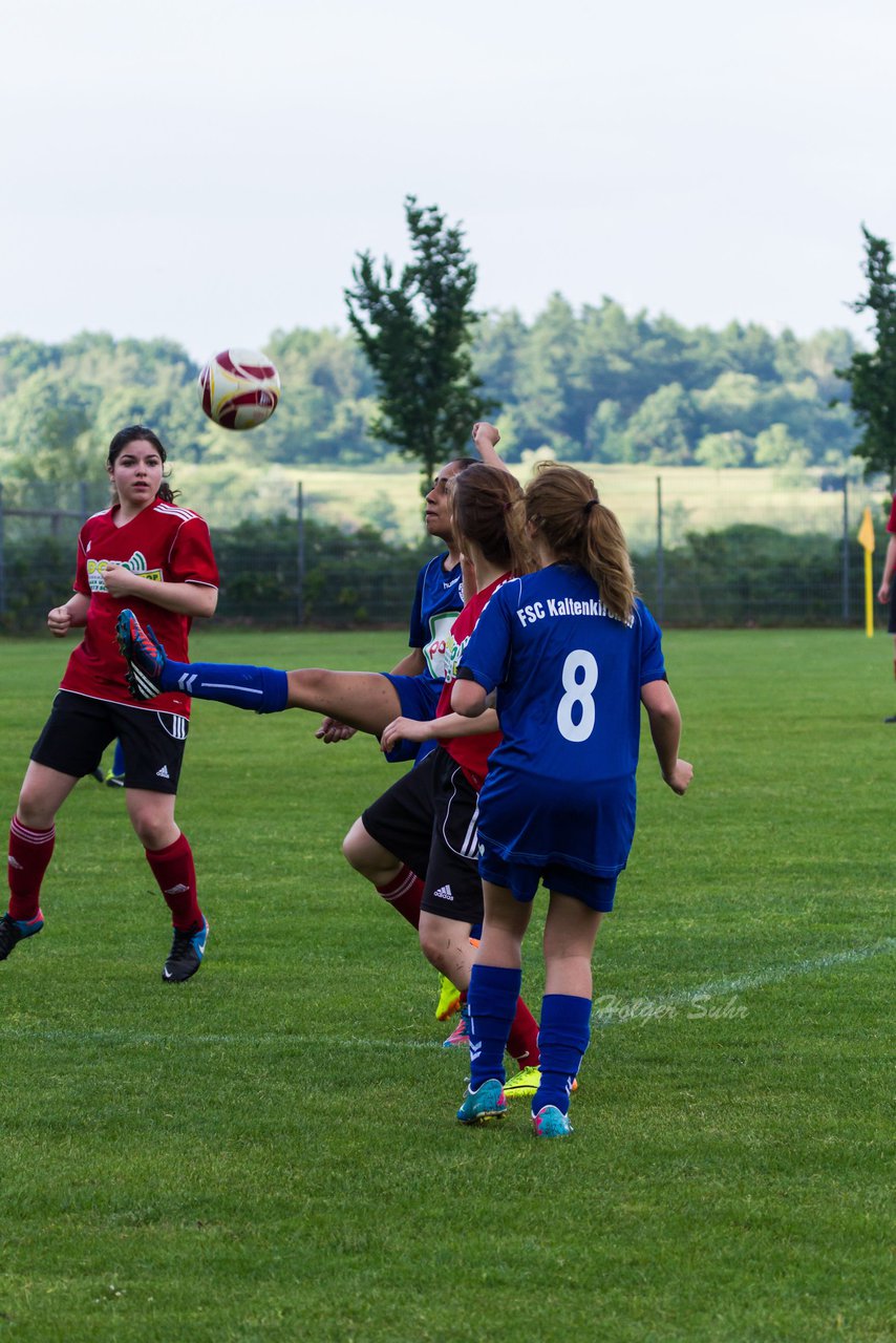 Bild 214 - B-Juniorinnen FSC Kaltenkirchen - TSV Schnberg : Ergebnis: 1:1